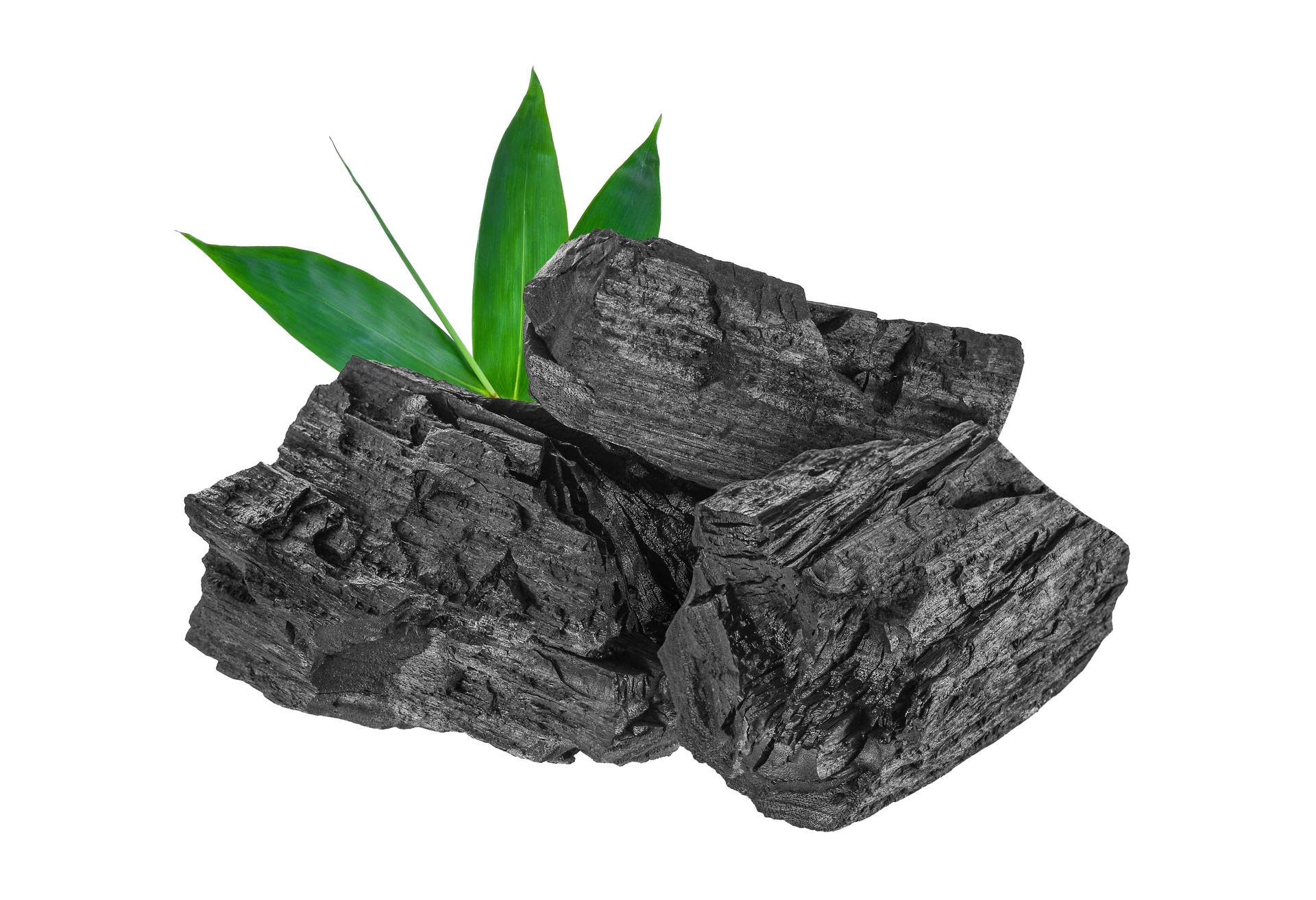 Natural wood charcoal with bamboo leaves isolated on white